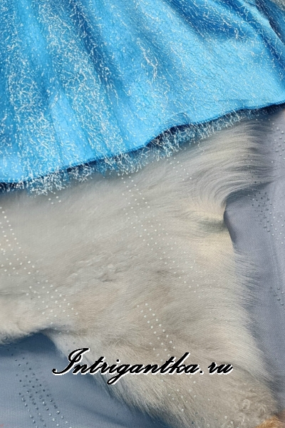 Принцесса эльза